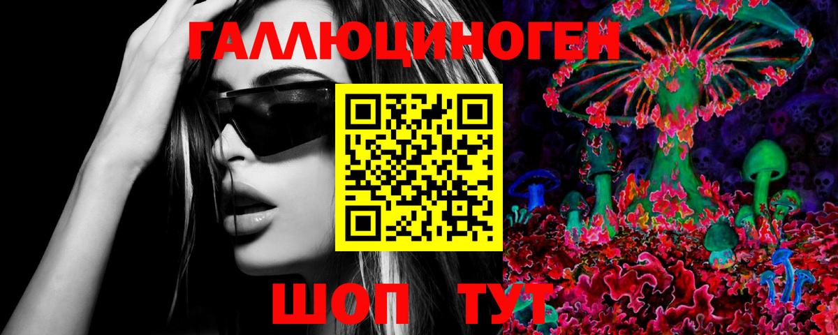 продажа наркотиков  Галлюциногенные грибы MAGIC MUSHROOMS  Псилоцибиновые грибы ЛСД  Вход с VPN  Городец 